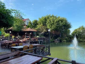 ร้านสวนภูมิทาน